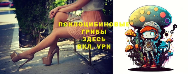 МДПВ Абаза